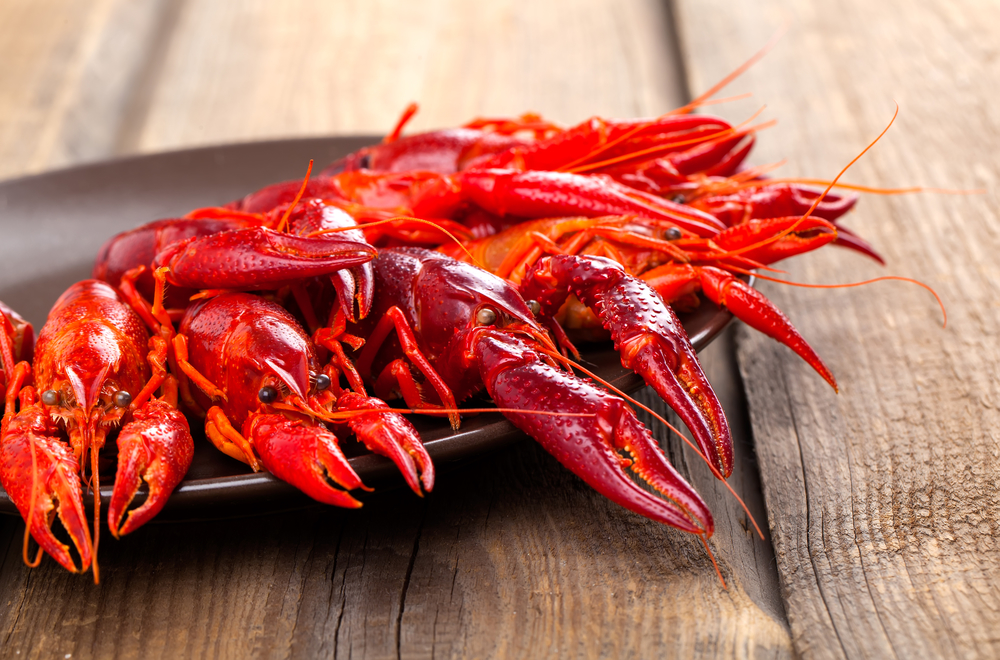 Crawfish on wooden background